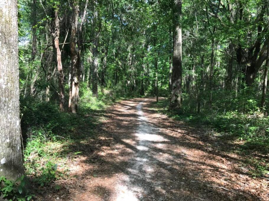Town & Country Hideaway - 1Br/1Ba, 20 Min Famu/Fsu Apartment Tallahassee Exterior foto